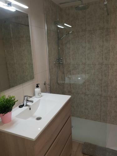 Apartamento Apolo