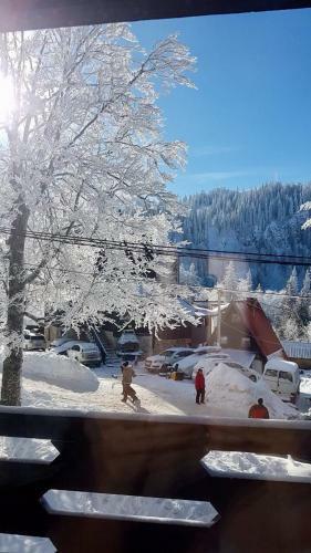 Apartamento Snowdream