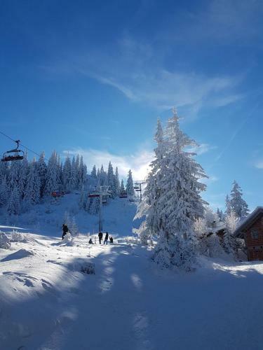 Apartamento Snowdream