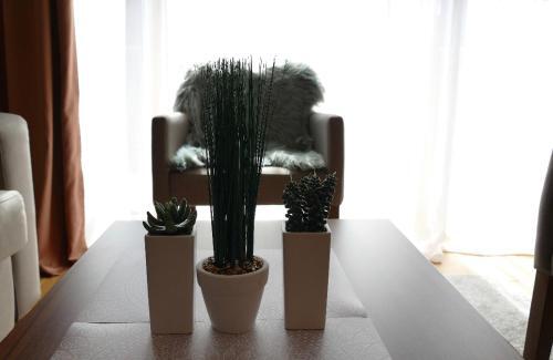 Apartment Vu?ko B231