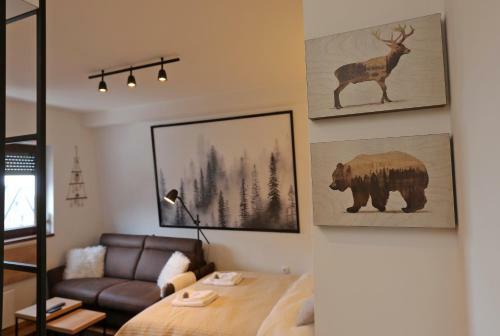 Apartmani Magla Jahorina