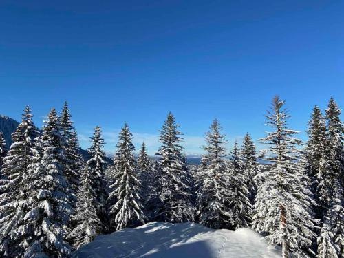 Apartmani Polaris Jahorina