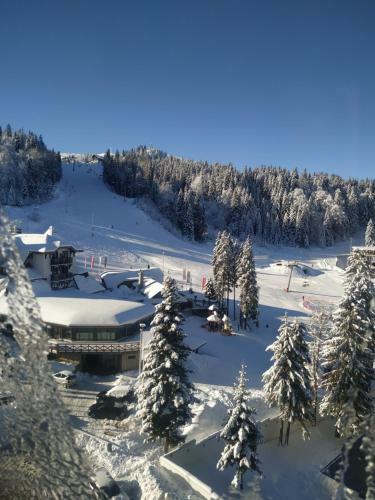 Apartman Lena - Olimpijska Kuca Jahorina