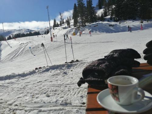 Jahorina Apartman Ko?uta D5