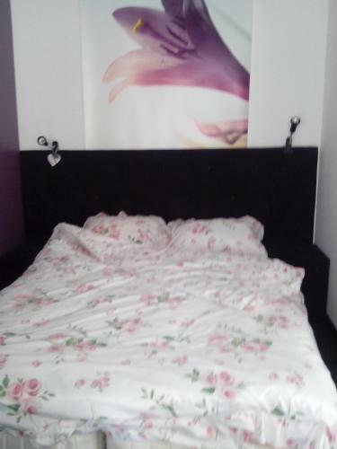 B&B De Droomgaard