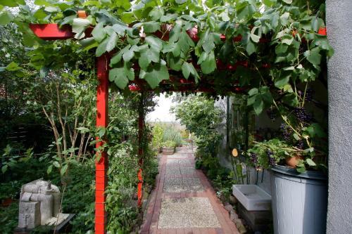 Bed & Breakfast De Witte Wolk
