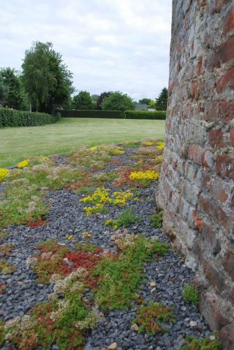 Bed And Breakfast De Meule Montfort