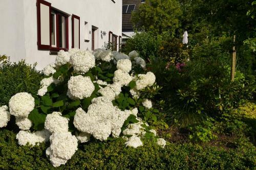 Bed And Breakfast De Hamsche Kuul