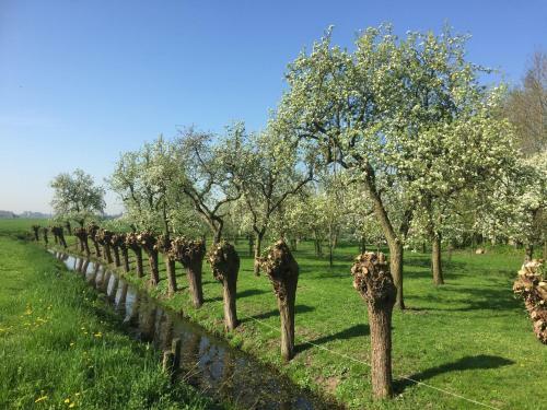 Broeks' Bed En Brood