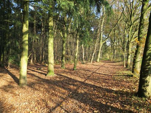 Apartamento Appartement De Runsvoort