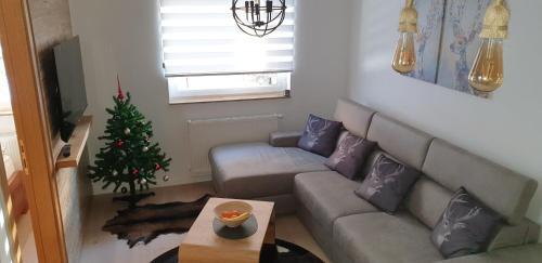 Apartamentos Olimpijska Kuca A109