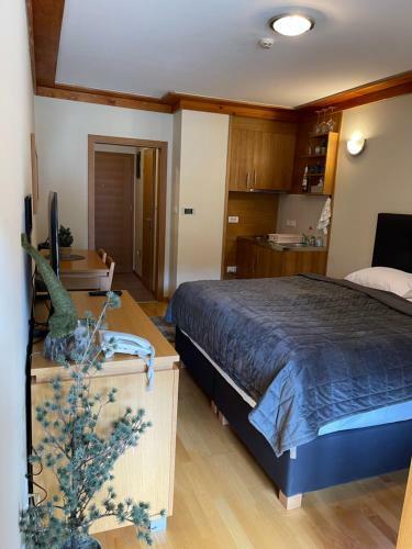 Apartment 217 Aparthotel Vu?ko