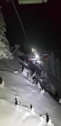 Apartamentos Olimpijska Kuca A208
