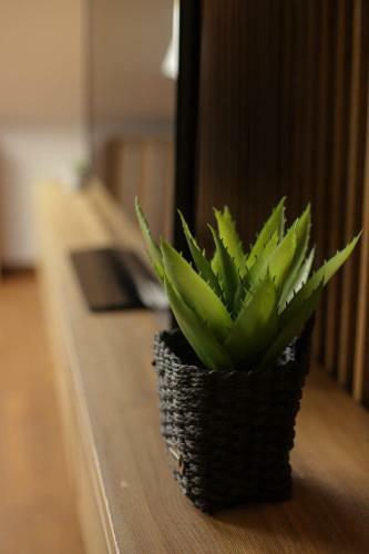 Apartamento Nivalis Residence