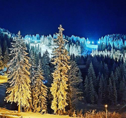 Pino Apartman Jahorina