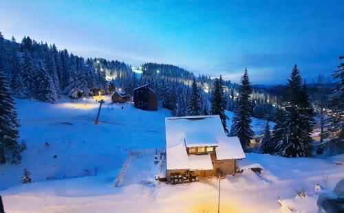 Pino Apartman Jahorina