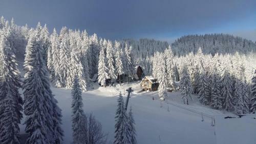 Pino Apartman Jahorina