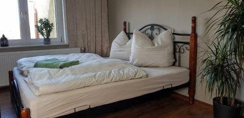 Hostal Ferienunterkunft Malu-sol