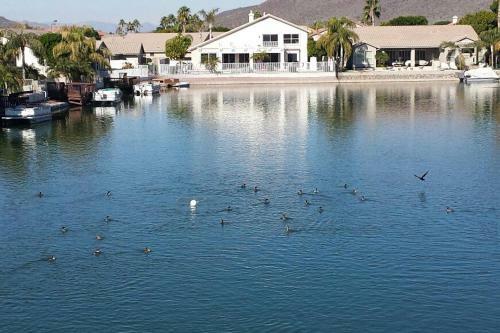 Glendale Arizona Lakeside Property