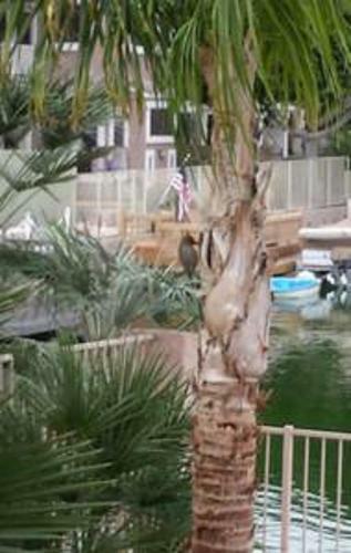 Glendale Arizona Lakeside Property