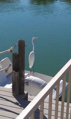 Glendale Arizona Lakeside Property