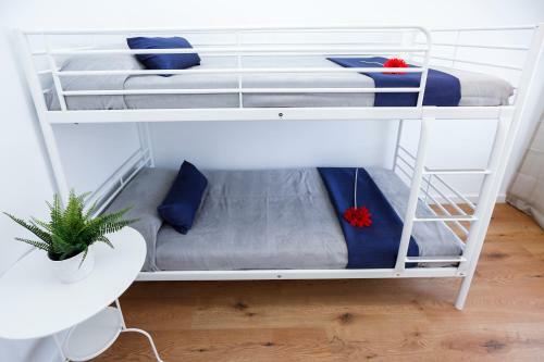 Apartamento Queens Planet Costa Dorada
