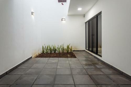 Casa Lisa, Modern Home, 10 Blocks From Ferry.
