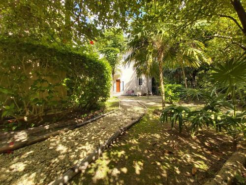 Villa Mini Pini Bird Watching And Cenote Loft