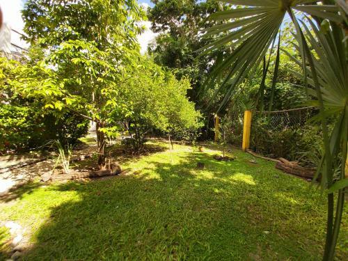 Villa Mini Pini Bird Watching And Cenote Loft