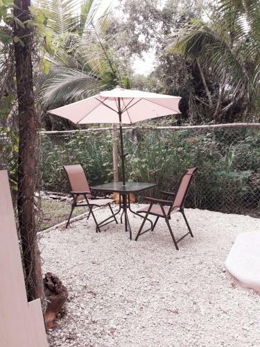 Villa Mini Pini Bird Watching And Cenote Loft
