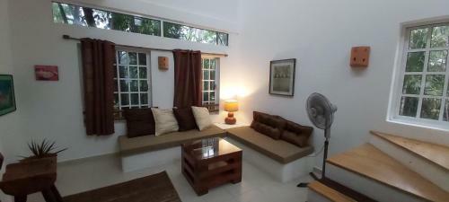 Villa Mini Pini Bird Watching And Cenote Loft