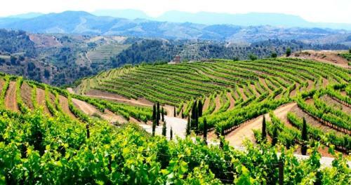 Villa Wine Experience Salou Center - Spa & Wine