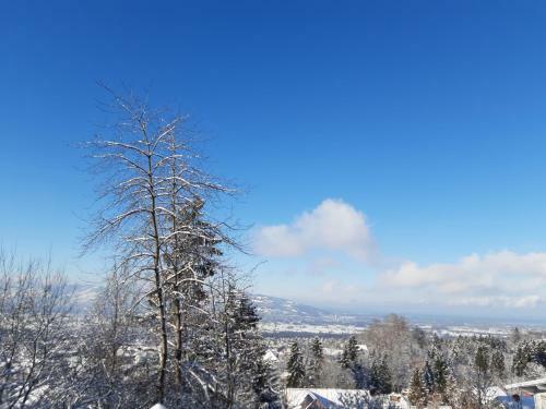 Apartamento Ferienwohnung Bodenseeblick