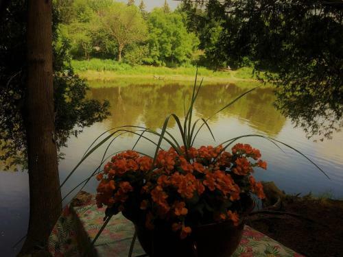 Romantic Riverside Suite In Elora