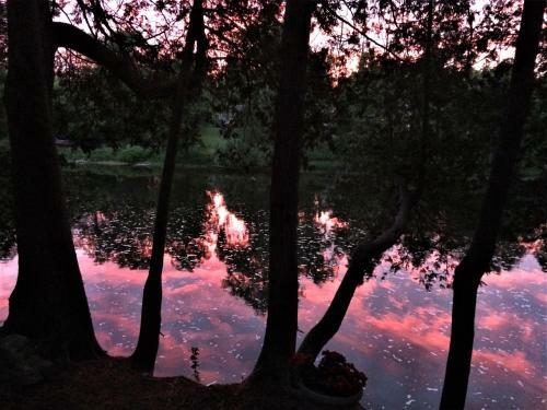 Romantic Riverside Suite In Elora