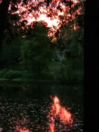 Romantic Riverside Suite In Elora