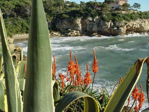 Cala Crancs Cap Salou Apartment