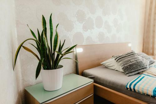 Old Town Apartment Pellicova