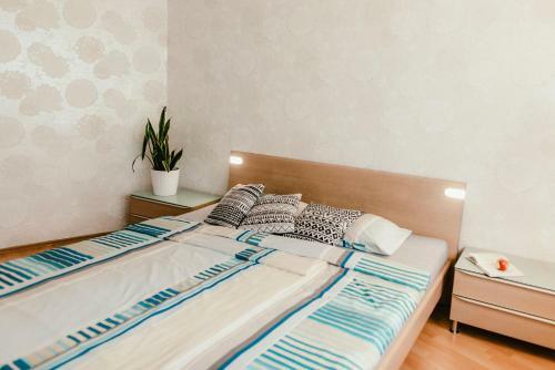 Old Town Apartment Pellicova