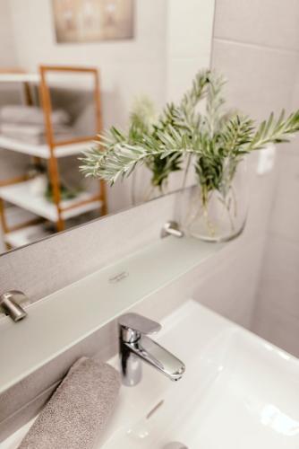 Luxury Apartments Zelny TRH 4