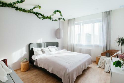 Boutique Expo Apartments #5 Brno-living Cz