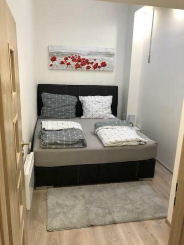 Apartm�n V Bl�zkosti Centra Brna
