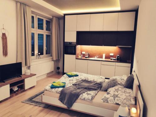 Wood Apartment Brno