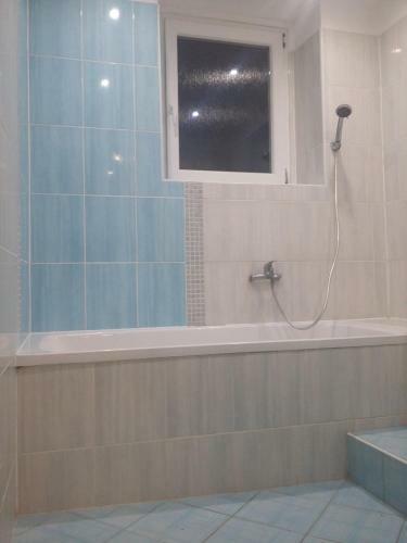 Apartman U Vila Tugenhart