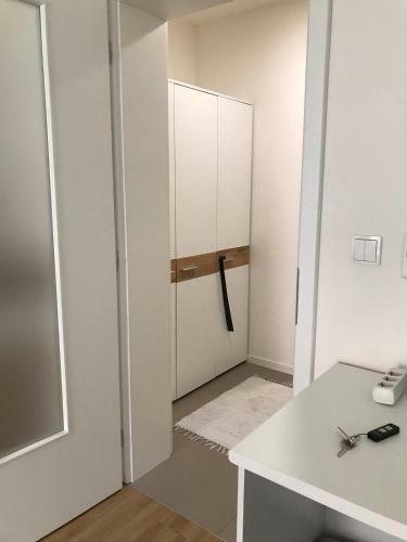 Apartment Brno Centrum With Private Parking