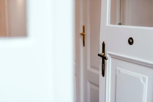 Luxury Apartments Zelny TRH