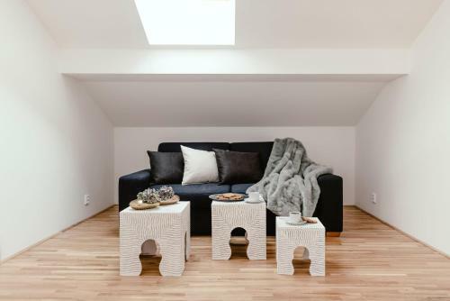 Luxury Apartments Zelny TRH