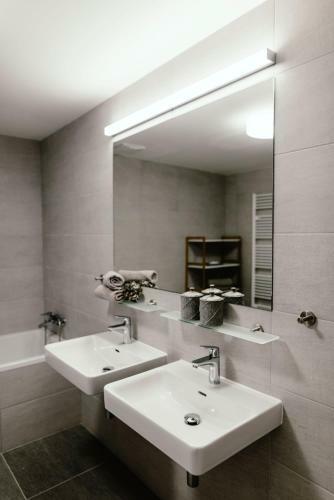 Luxury Apartments Zelny TRH