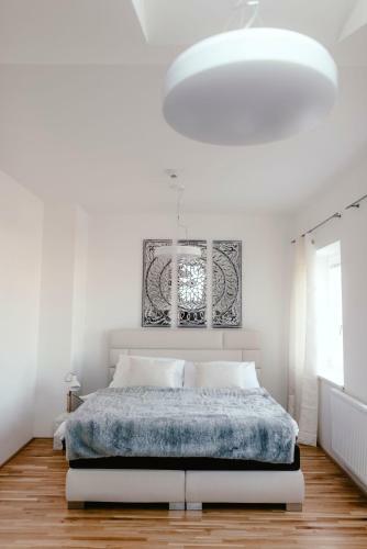 Luxury Apartments Zelny TRH