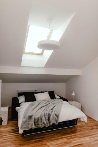 Luxury Apartments Zelny TRH